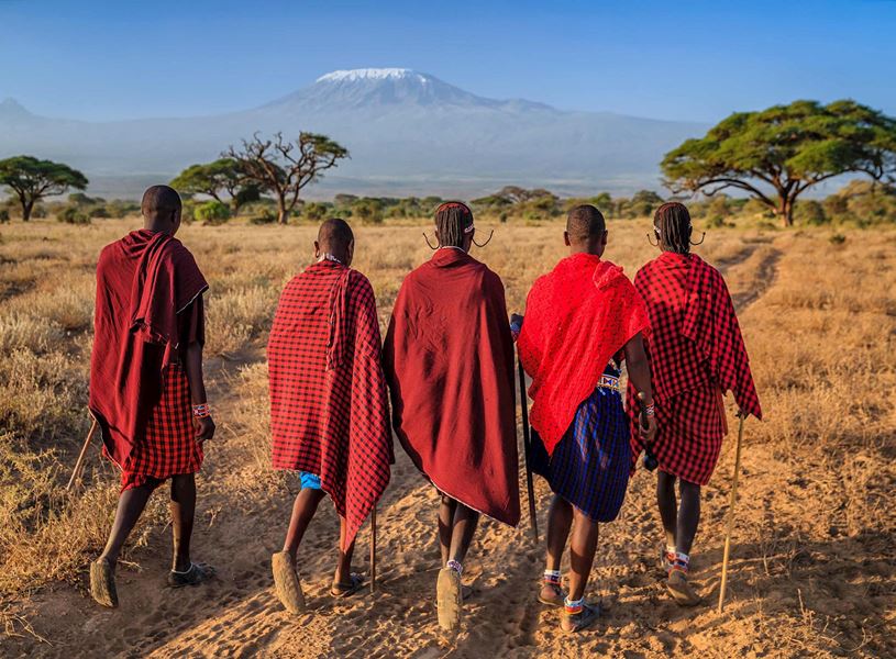 Five Maasai warriors walking away across the plain, Maasai Mara, Kenya