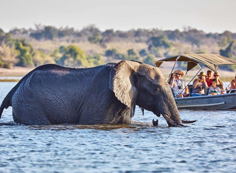 Tourists on boat near elephant in Chobe National Park, Botswana
