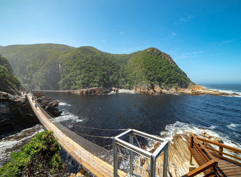 Wooden bridge and a headland in Tsitsikamma National Park, South Africa