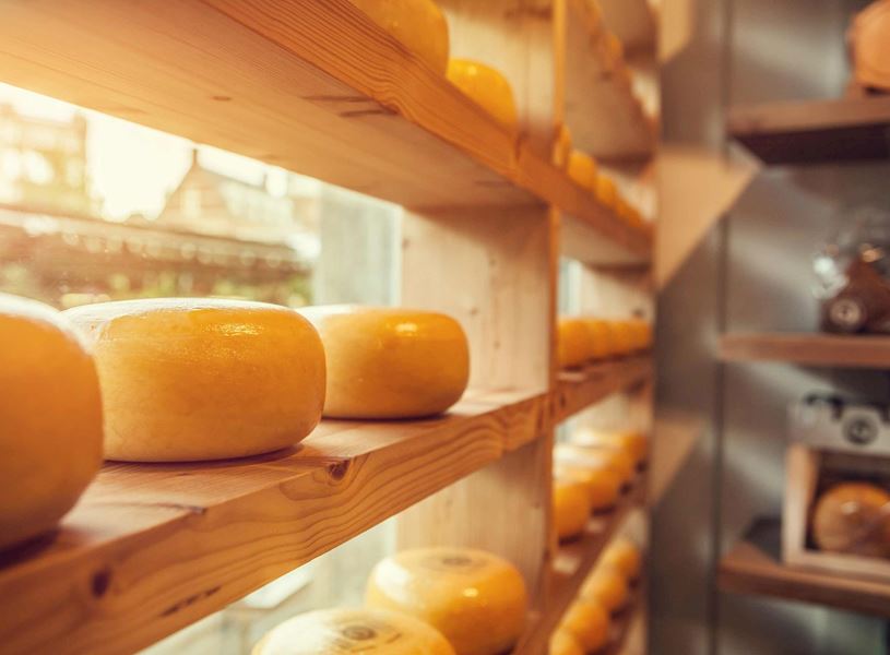Rows of round cheese wheels displayed on wooden shelves indoors 