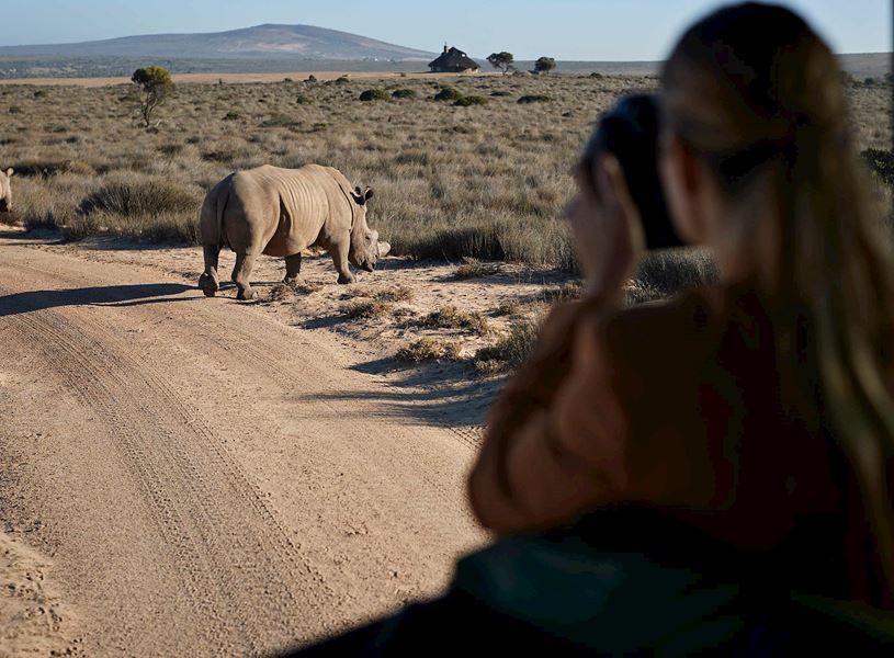 Safari with Rhino in Pilanesberg National Park, South Africa