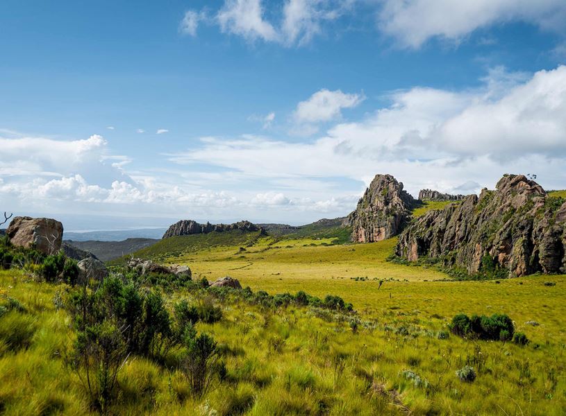 Lush greenery and the Aberdare Mountain Range in Kenya 