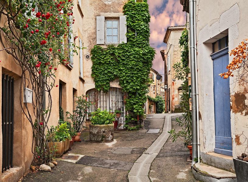 Narrow street with ivy-covered buildings and potted plants in Lourmarin