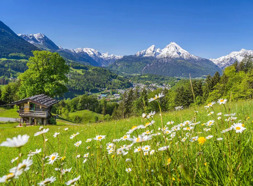 Alpine meadow with daisies, wooden cabin, and snow-capped mountain in Salzburg, Austria