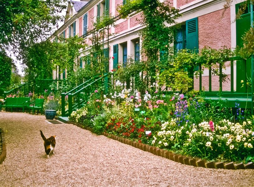 Giverny garden path with  colourful flowers, cat and Monet’s house in France