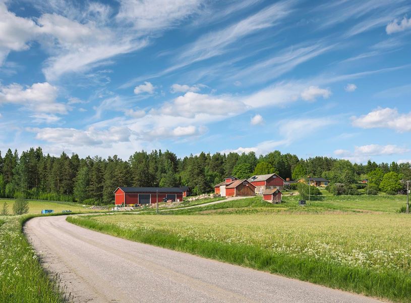 Finnish countryside with gravel road leading to red farmhouses in Finland