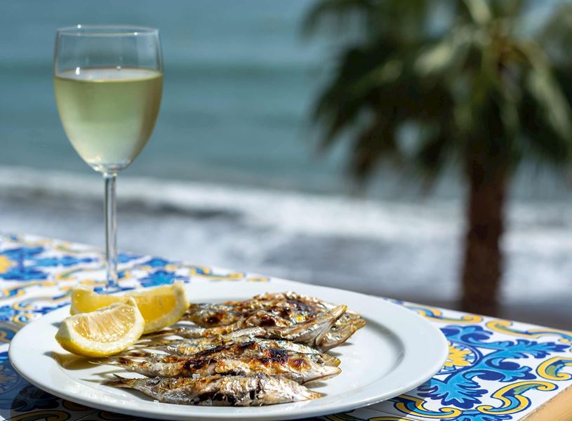 Guided tour of Marbella, Puerto Banus and dinner in Spain