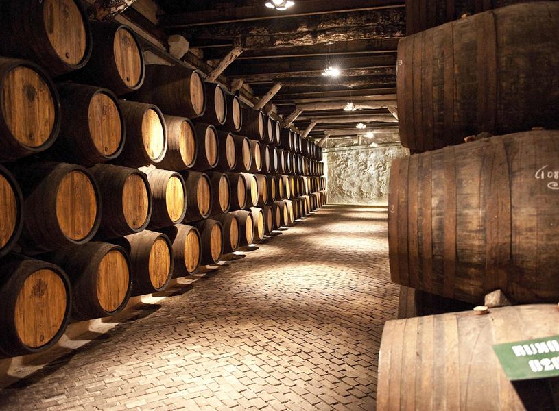 Beira Dinner in a Dao Wine Cellar, Portugal