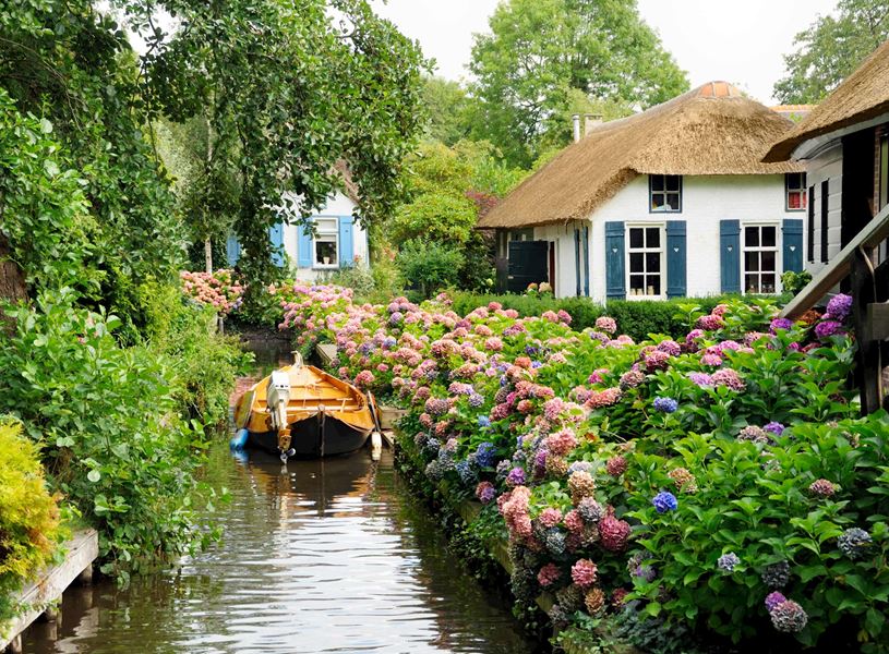 Canal in Giethoorn lined with hydrangeas and traditional thatched-roof houses with wooden shutters