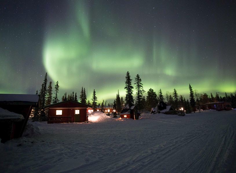 Enjoy the Aurora Borealis, The Northern Lights and dinner in Alta, Sweden