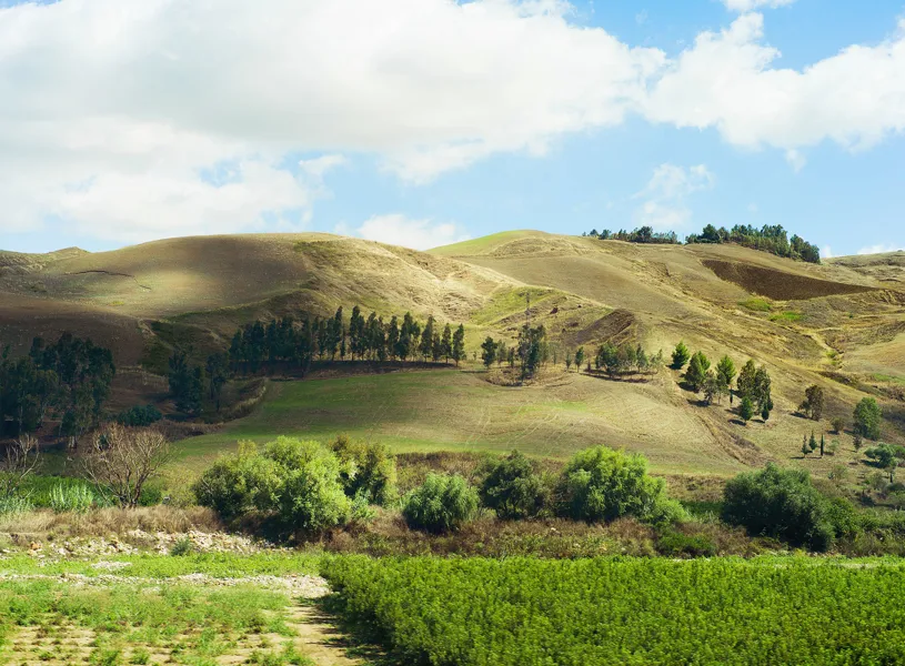 Sicilian Countryside