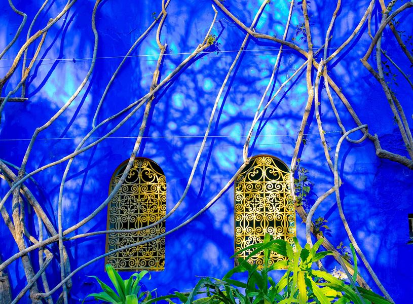 Visit Majorelle Gardens in Marrakesh, Morocco