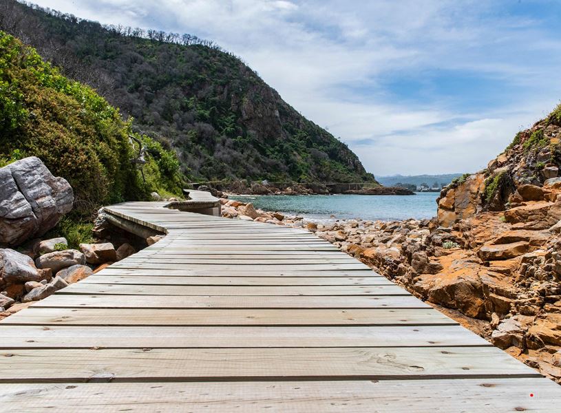 Wooden deck path through Featherbed Nature Reserve towards sea, Knysna