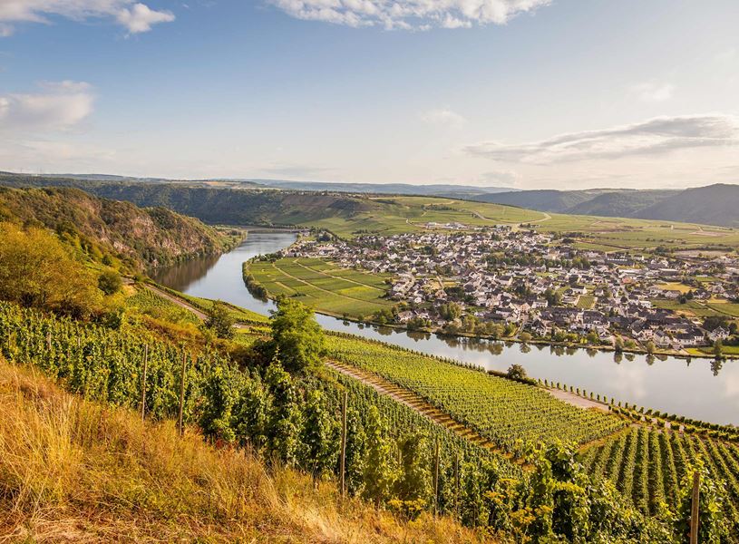 Mosel Valley with winding river, vineyard and village landscape