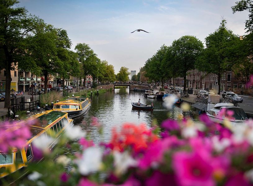 Enjoy a private cruise in a glass-roofed boat that travels the historic canal ring in Amsterdam, Netherlands