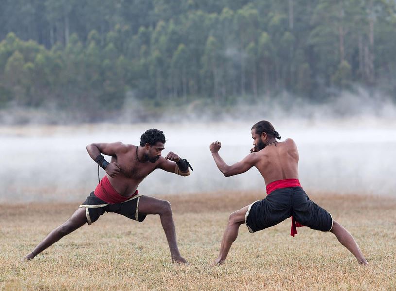 Two persons performing martial arts in Periyar National Park, India