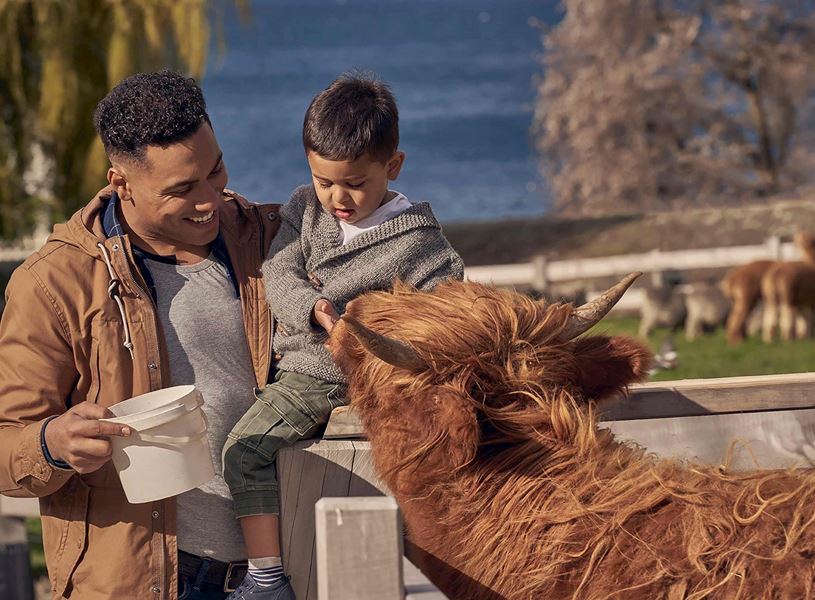 Visit Walter Peak High Country Farm in Lake Wakatipu, New Zealand