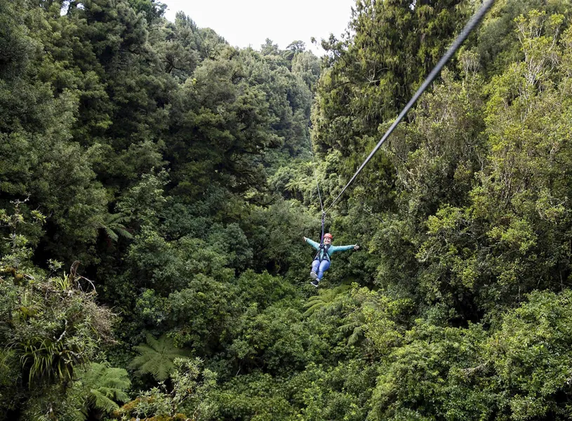 Enjoy the Canopy zipline tour in Rotorua, New Zealand