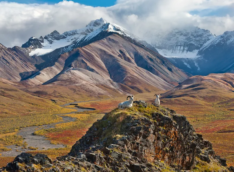 Visit Denali National Park, Join Private Experience Local Climber, Alaska