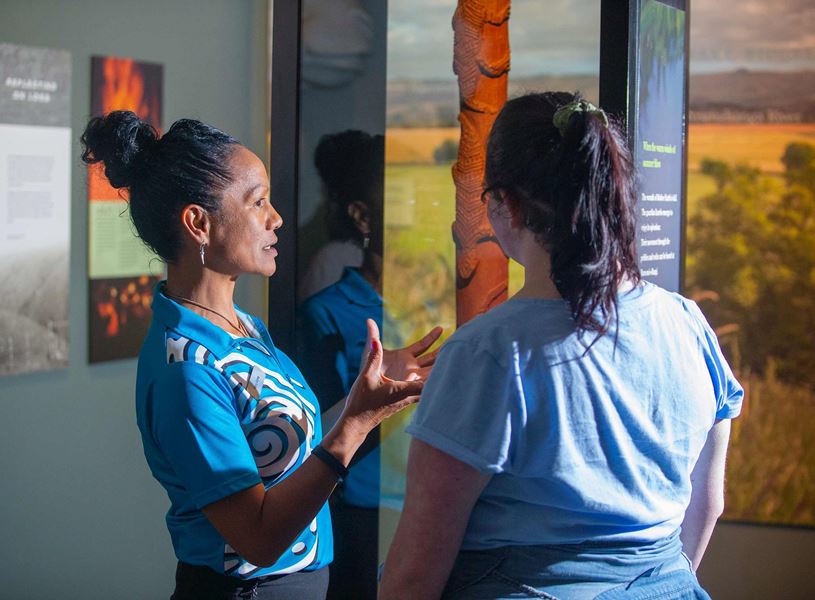 Visit Te Papa Museum in Wellington, New Zealand