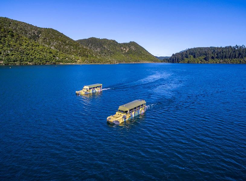 Enjoy a duck tour of Rotorua, New Zealand