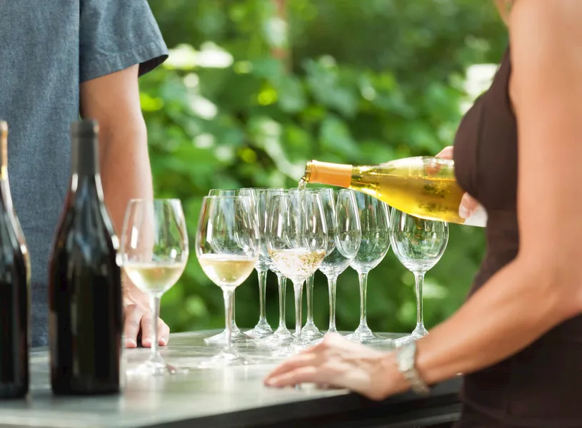 Enjoy wine tasting in Sonoma, USA