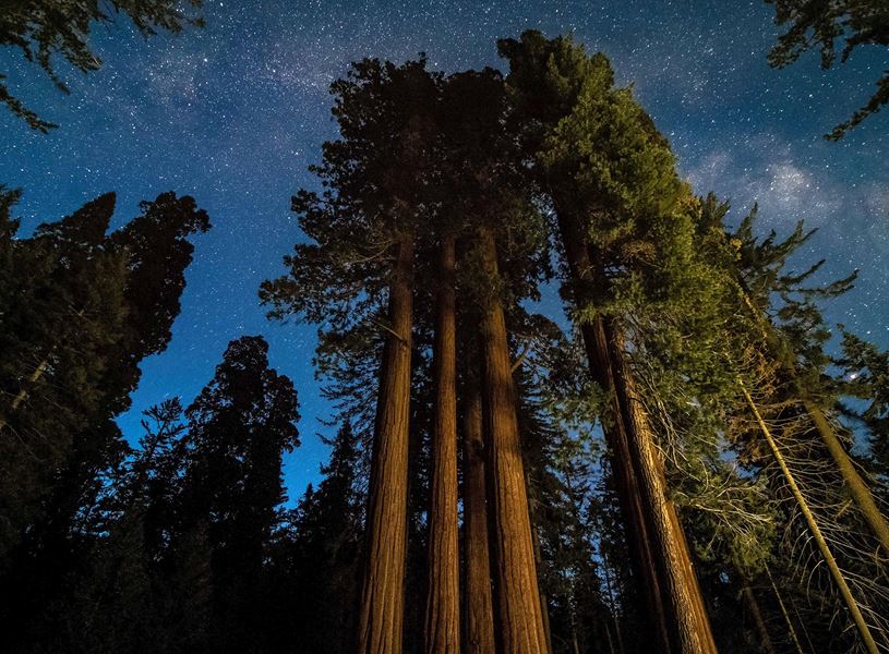 Enjoy an evening stargazing in Sequoia, USA