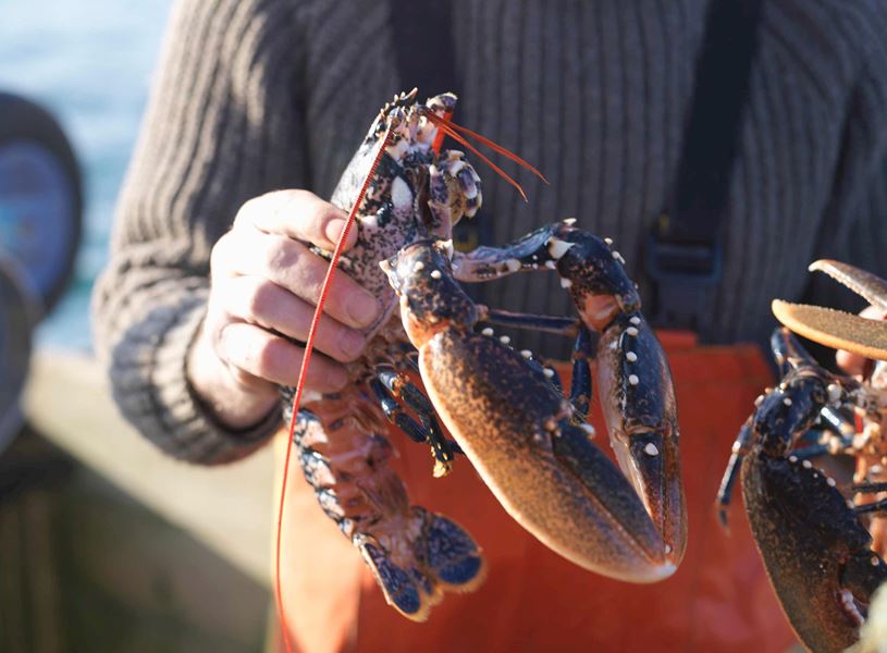 Learn fishing techniques with lunch on board a boat to Shediac Bay, Canada