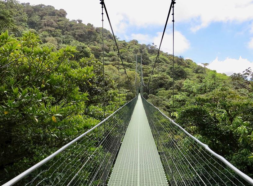 Sky Walk tour in the Monteverde Cloud Forest, Costa Rica