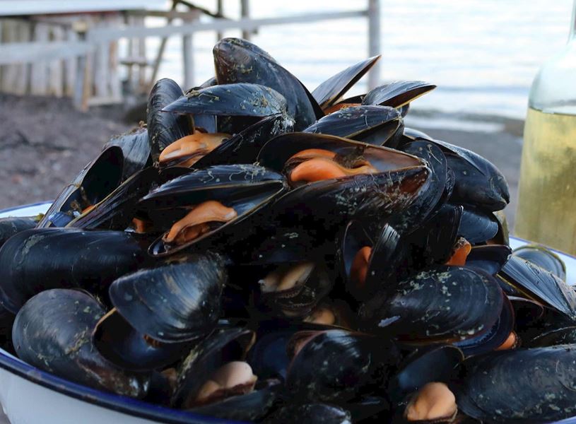 Enjoy dinner at The Fish Sheds in Newfoundland, Canada