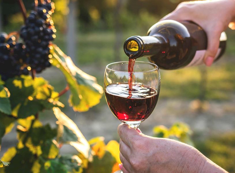 Visit Maison La Belle Vie Winery for a tour dinner in Palisade, USA