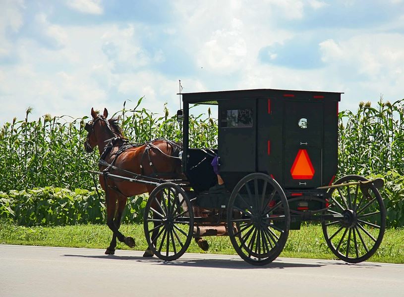 Learn about Amish traditions at Plain & Fancy Farm near Lancaster, USA