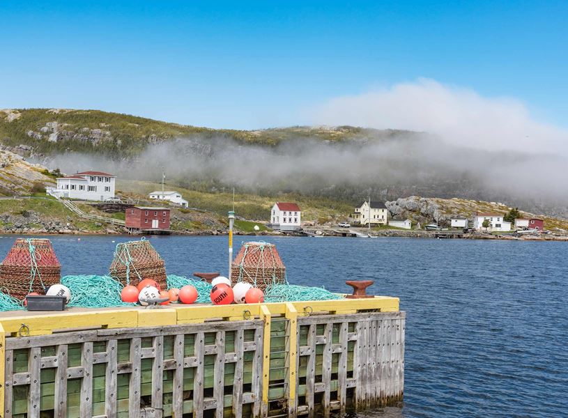 Learn about the significant role this small Newfoundland community played during the 9/11 disaster in Gander, Canada