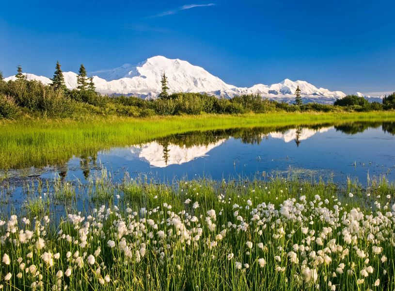 Enjoy an ATV ride with 360° overlook stops with views of lakes and valleys in Denali National Park, USA