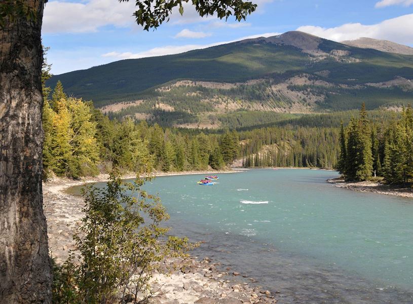 Experience a scenic float trip down the Athabasca River in Jasper National Park, Canada