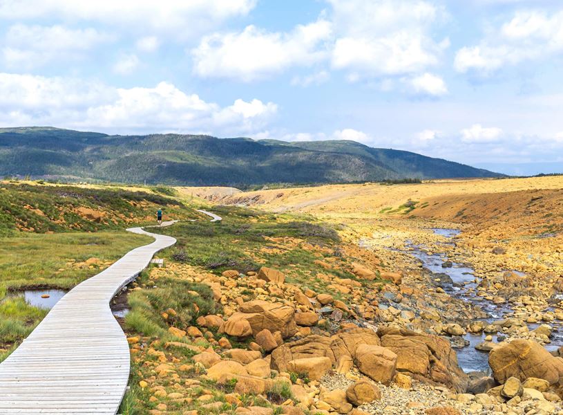 Join a local specialist on a guided walk of UNESCO-listed Gros Morne National Park, Canada