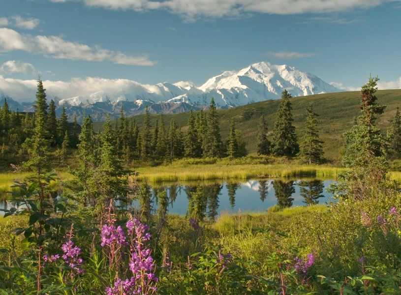 Take guided Denali Natural History Tour in Fairbanks, Alaska, USA