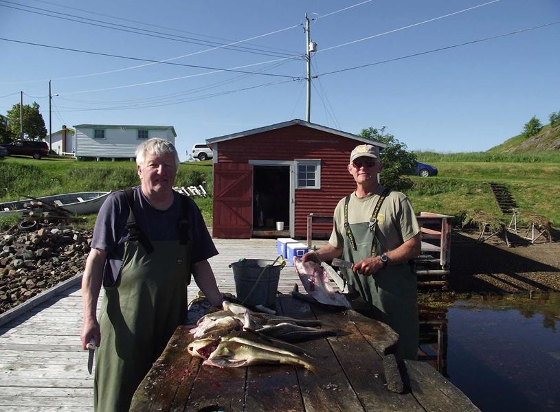 Take a guided walking tour of Trinity town in Newfoundland, Canada
