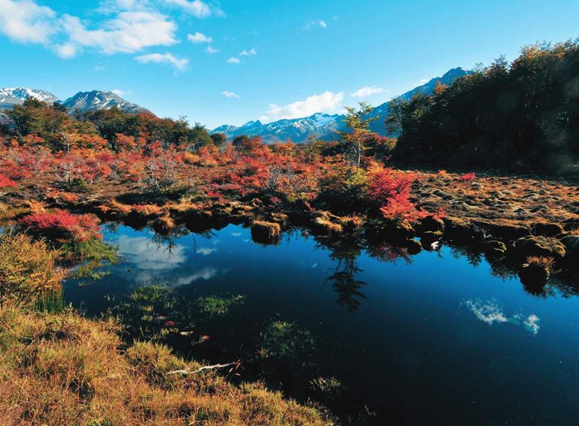 Visit Tierra del Fuego National Park near Chile and Argentina