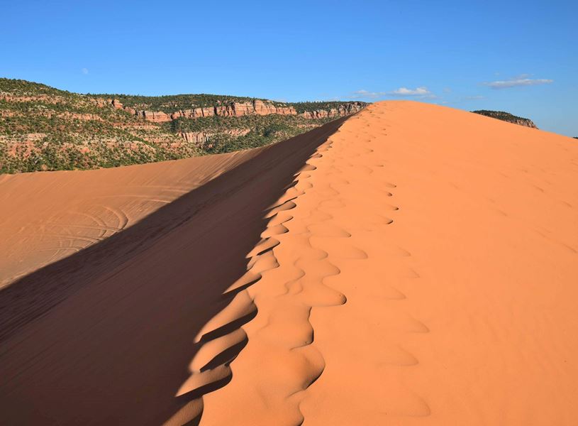 Visit Coral Pink Sand Dunes State Park, USA 