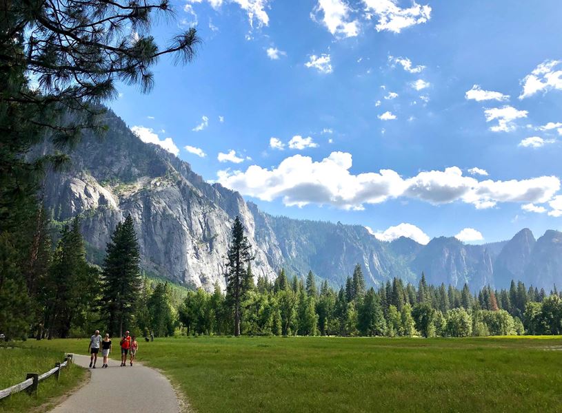 Enjoy a guided climb through Yosemite Conservancy in California, USA
