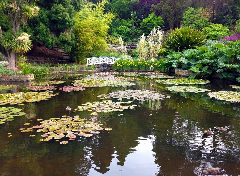 Visit Royal Tasmanian Botanical Gardens