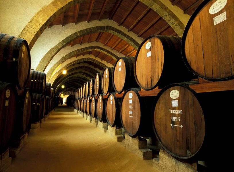 Wooden wine barrels stacked in Marsala cellar with arched ceiling