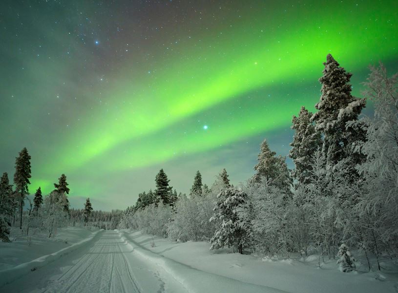 The Northern Lights, Aurora Borealis over snowy forest in Saariselkä, Finland