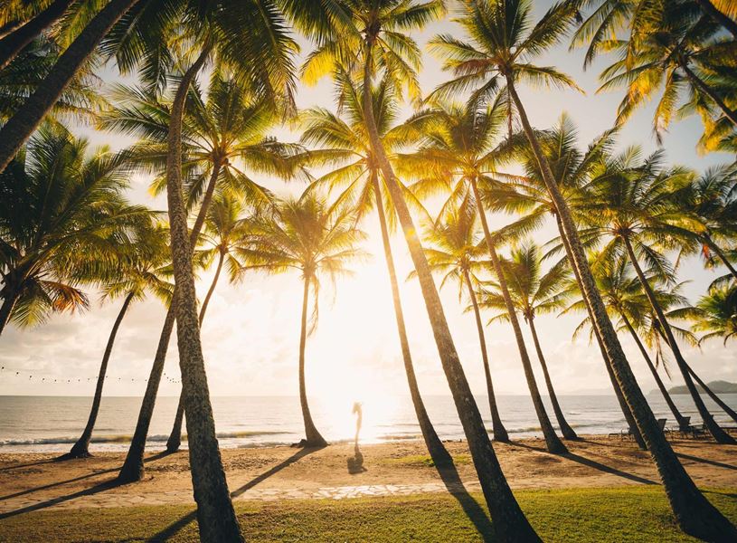 Explore picturesque Cairns, Australia