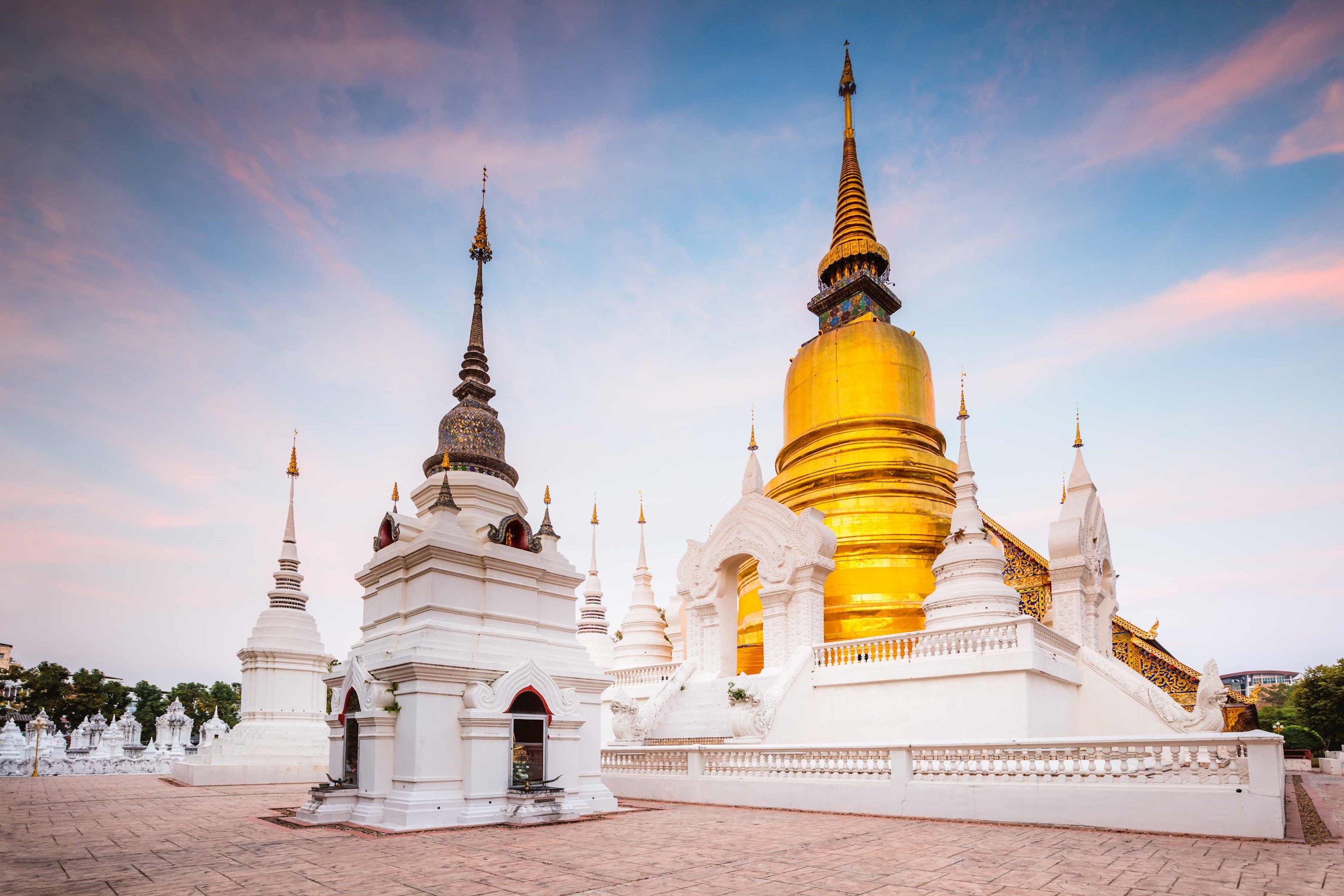 Visit Wat Suan Dok Temple, Chiang Mai, Thailand