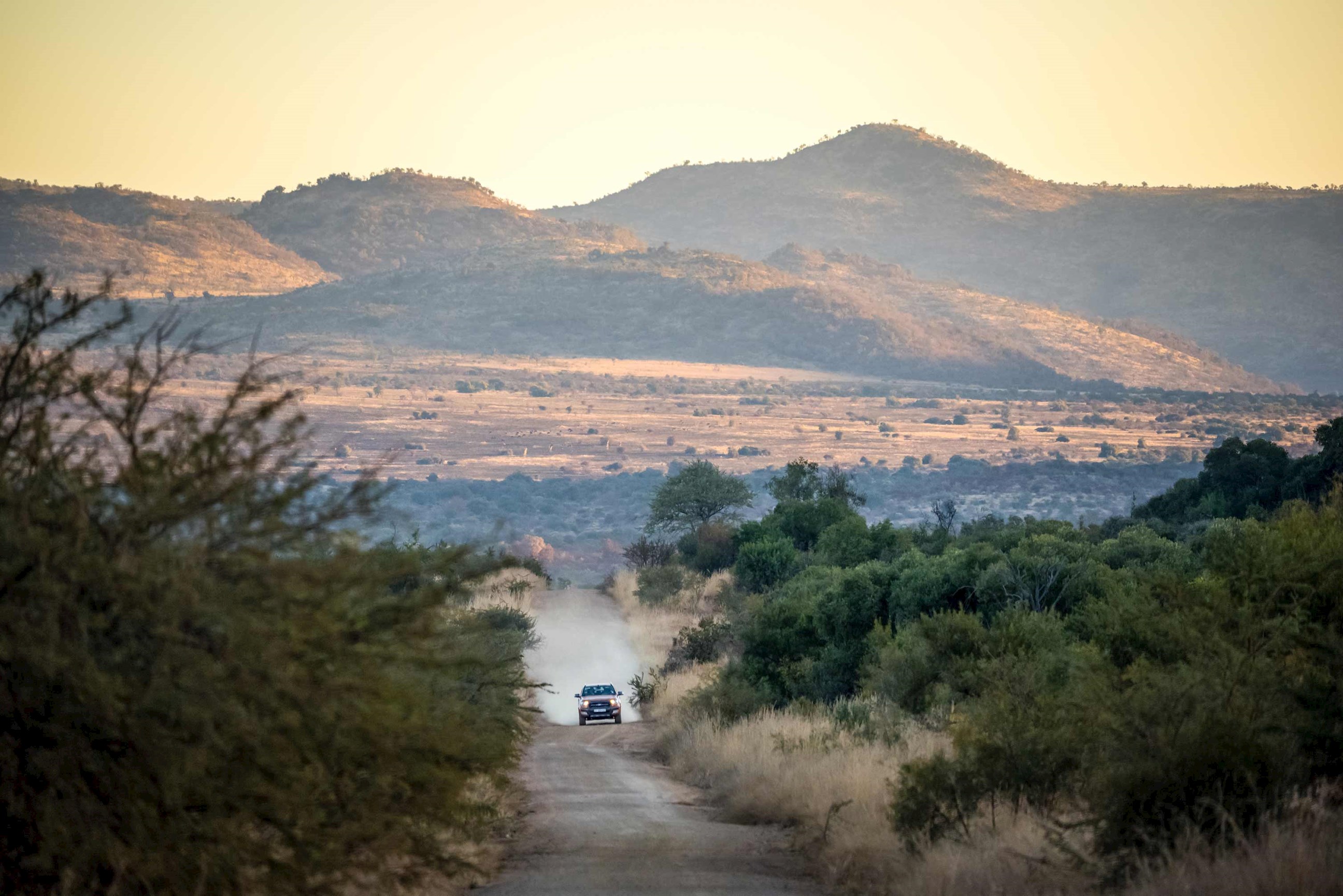 Off road car driving through bushes, South Africa