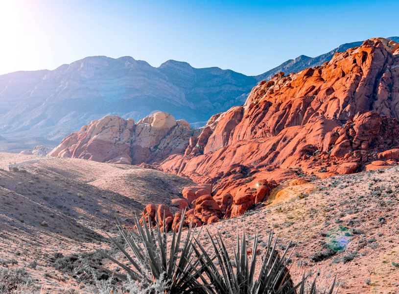 Red Rock Canyon National Conservation area, Las Vegas, Nevada, USA