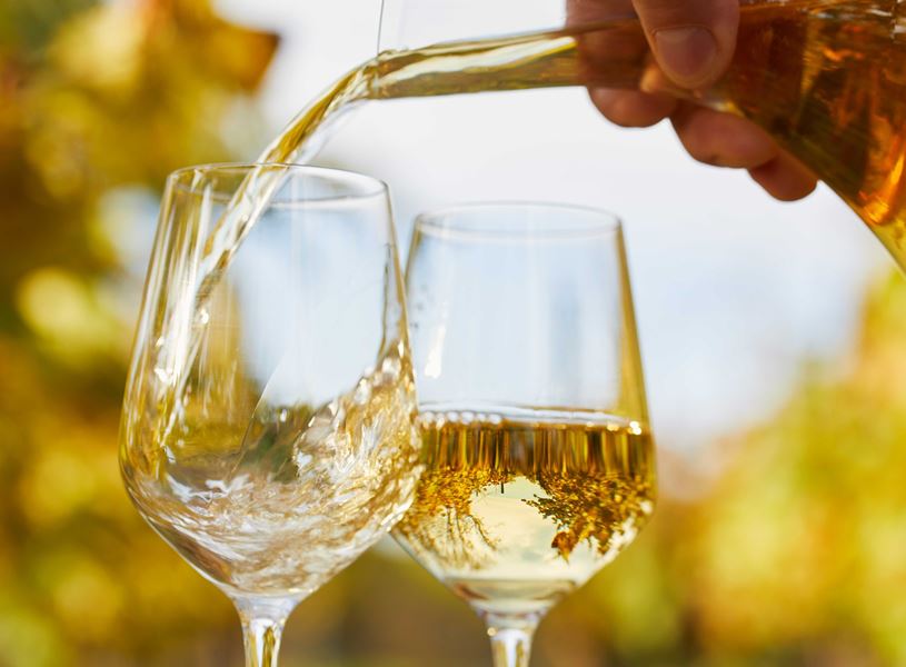 Tasting and farewell dinner, Vancouver, Canada