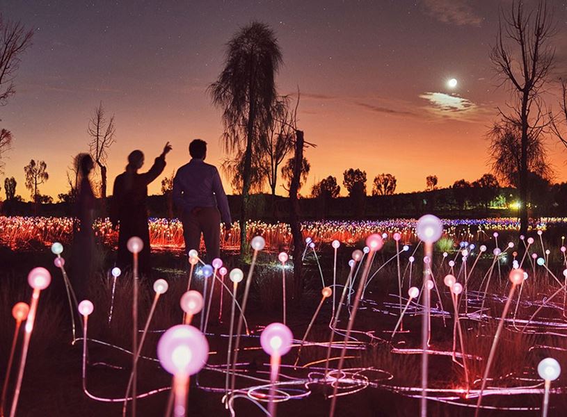 Field of light, Uluru, Australia